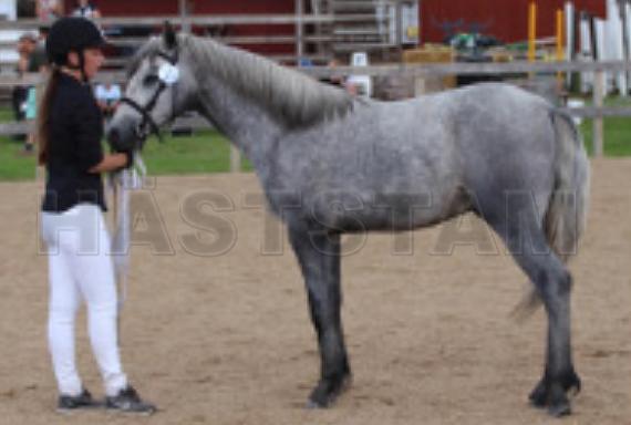 Profilbild