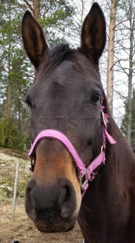 Profilbild