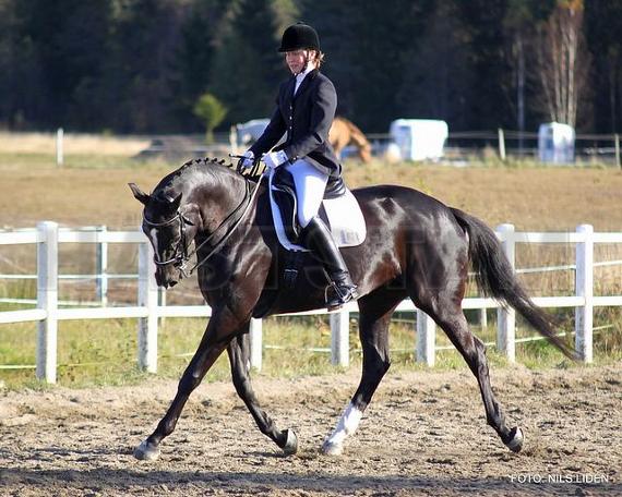 Profilbild