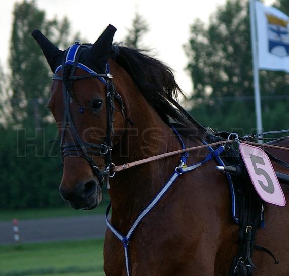 Profilbild