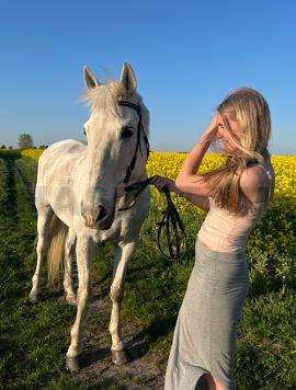 Profilbild