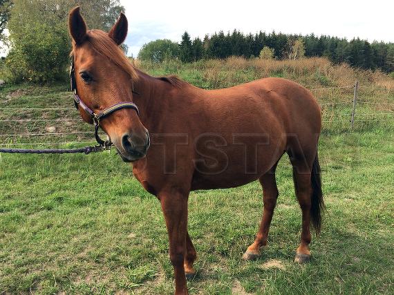 Profilbild