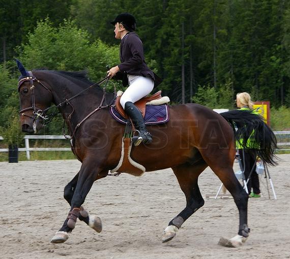 Profilbild