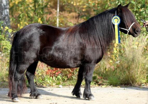Profilbild