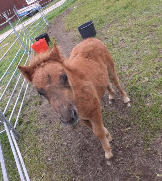 Profilbild