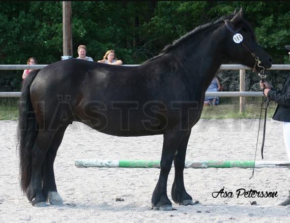 Profilbild