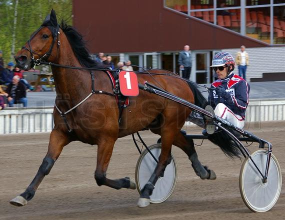 Profilbild