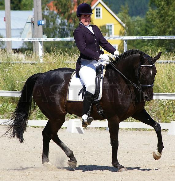 Profilbild