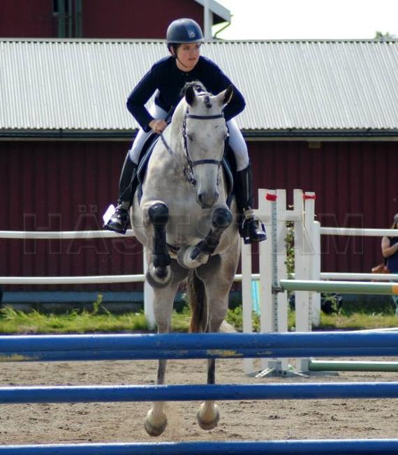 Profilbild