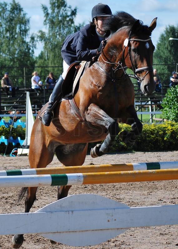 Profilbild
