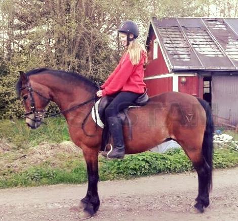 Profilbild