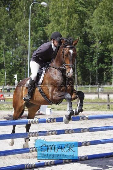 Profilbild