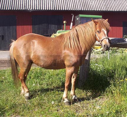 Profilbild