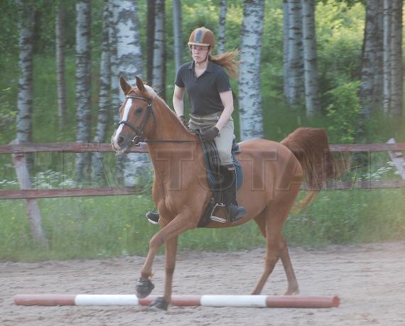 Profilbild