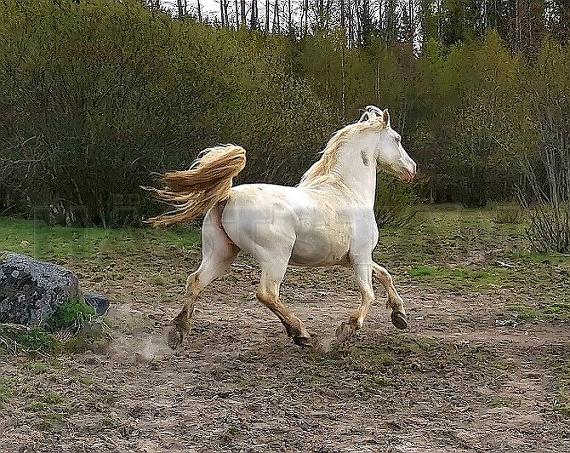 Profilbild