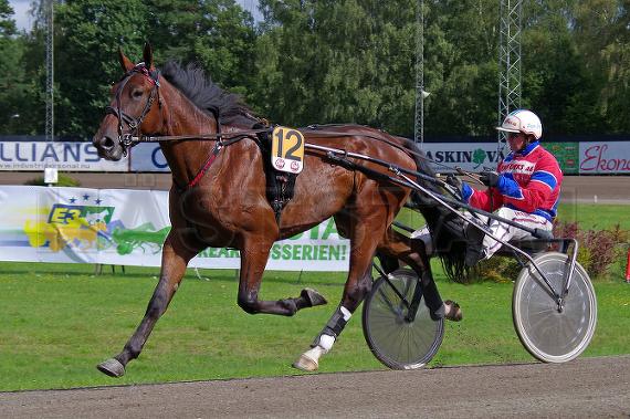 Profilbild