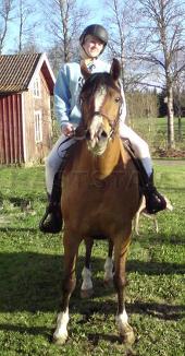 Profilbild