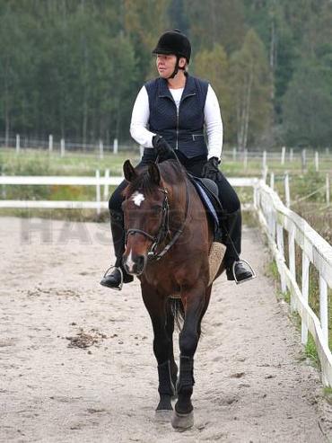 Profilbild