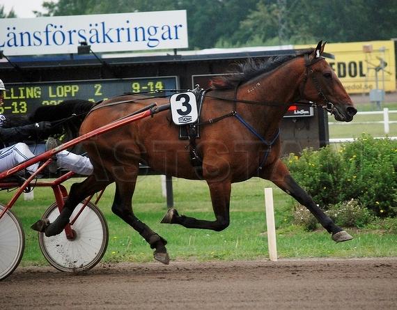 Profilbild
