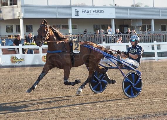Profilbild