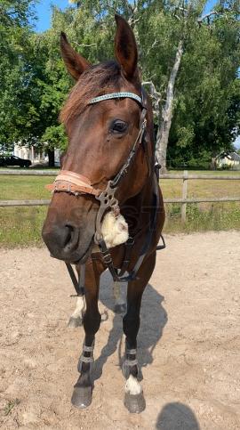 Profilbild