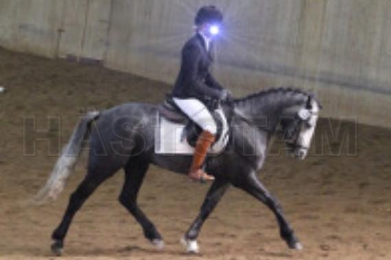 Profilbild