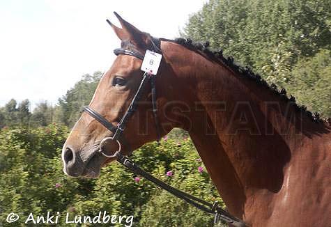 Profilbild