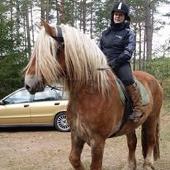 Profilbild