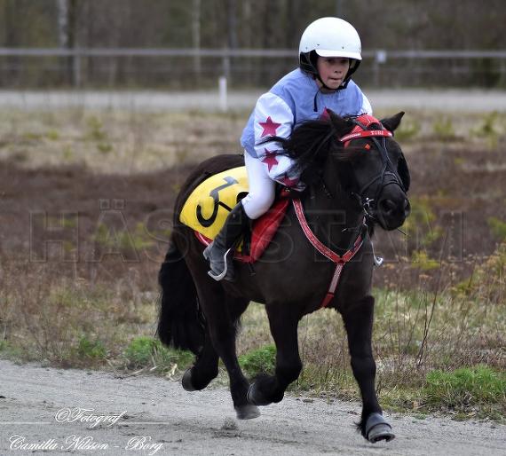 Profilbild