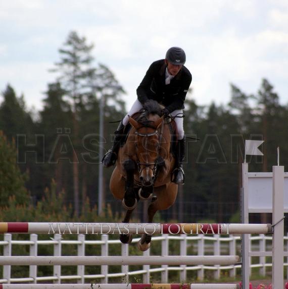 Profilbild