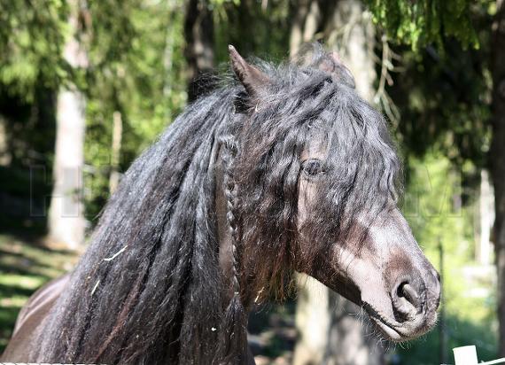 Profilbild