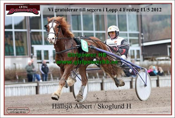 Profilbild