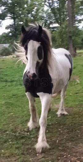 Profilbild