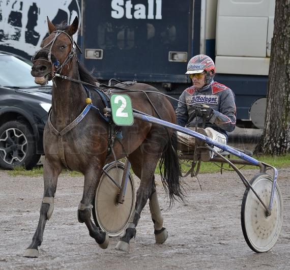 Profilbild
