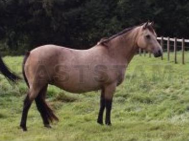 Profilbild