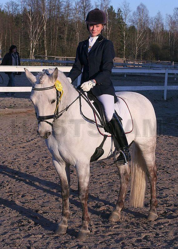 Profilbild