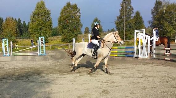 Profilbild