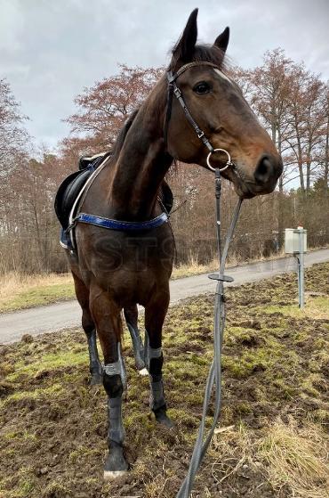 Profilbild
