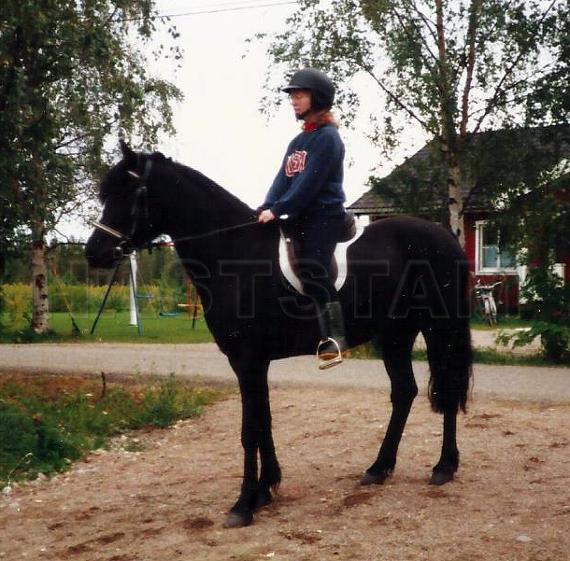 Profilbild