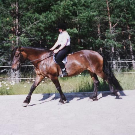 Profilbild