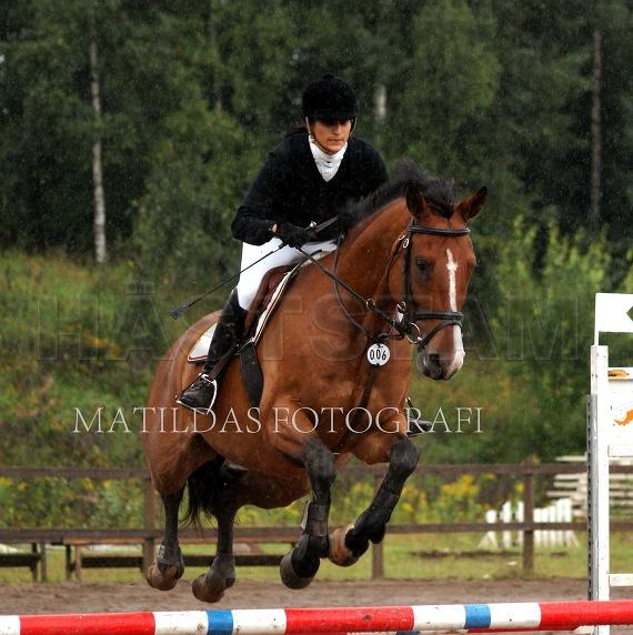 Profilbild