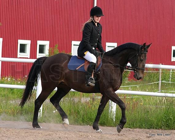 Profilbild