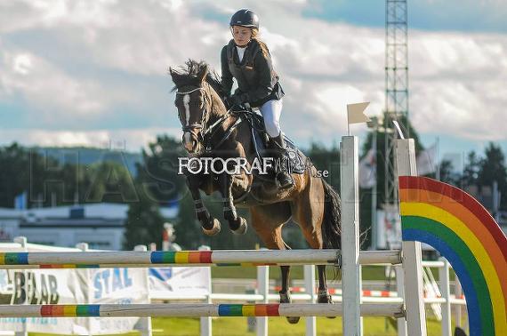Profilbild