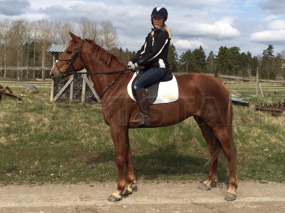 Profilbild