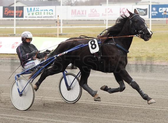 Profilbild