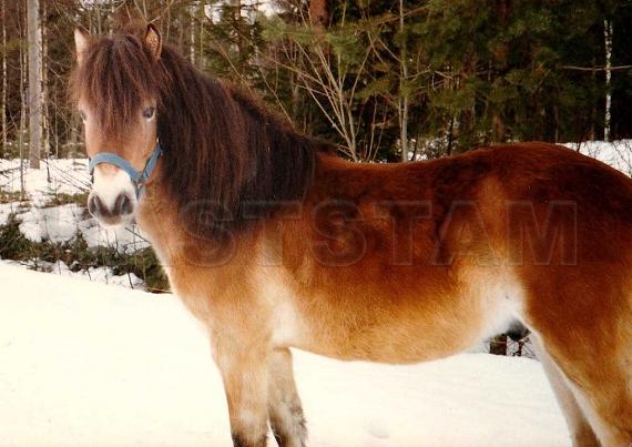 Profilbild
