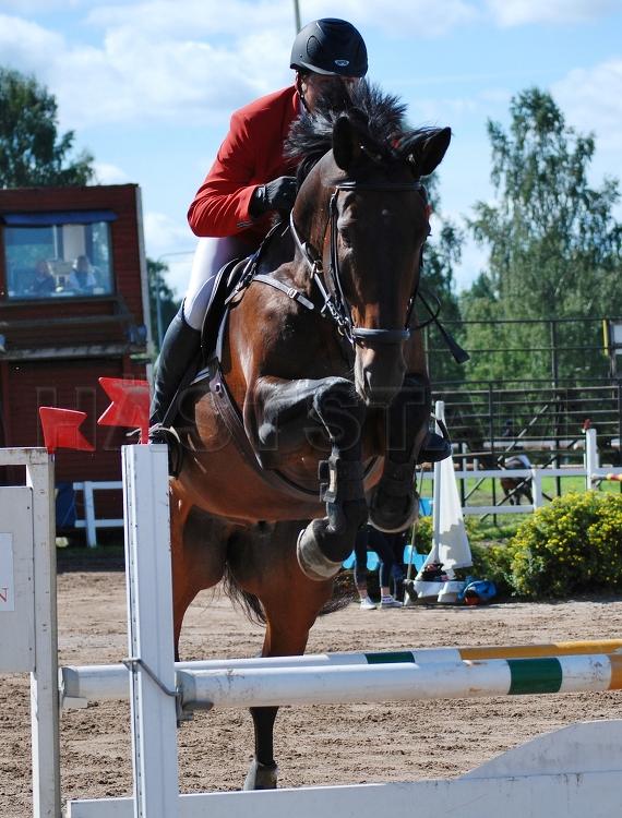 Profilbild