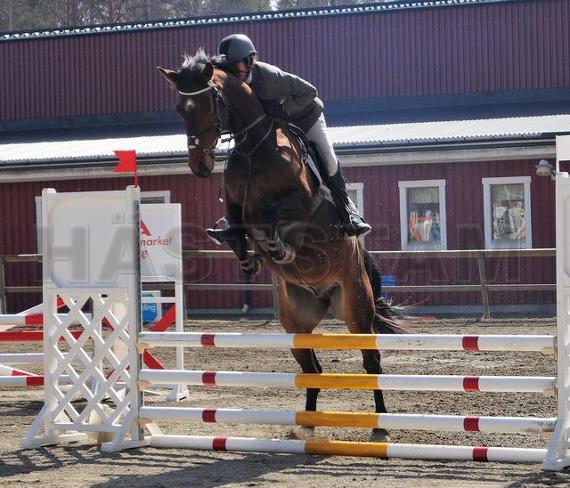 Profilbild