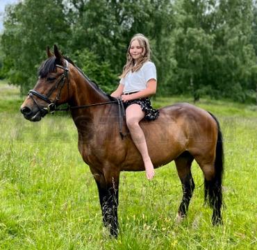 Profilbild