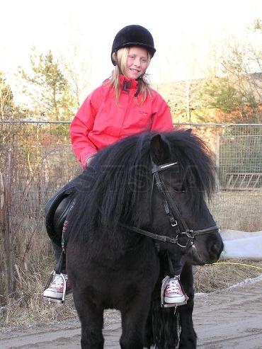 Profilbild
